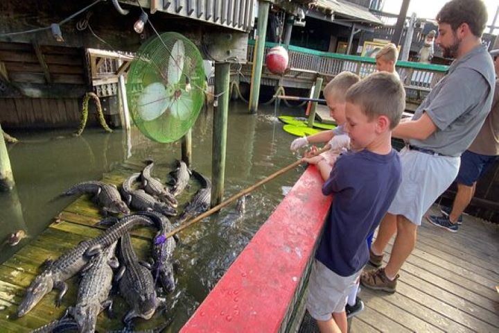 Gator Beach at Fudpucker's