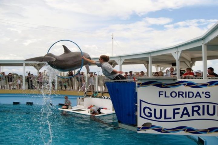 Gulfarium Marine Adventure Park