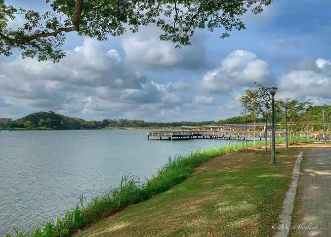 3. Lower Seletar Reservoir Walking