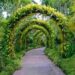 Best Botanical Gardens In The World