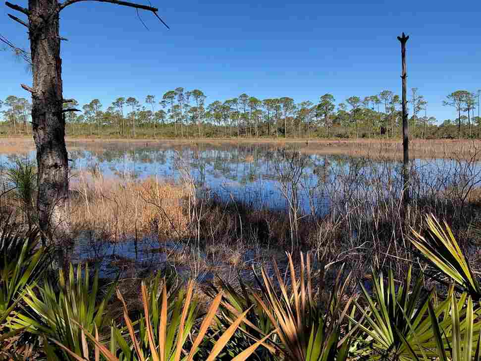 The Bon Secour National Wildlife Refuge